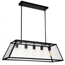  9601P36-5-101 - Alyson 5 Light Down Chandelier With Black Finish