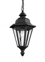  6025-12 - Brentwood traditional 1-light outdoor exterior ceiling hanging pendant in black finish with clear gl