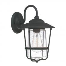  9601BK - 1 Light Outdoor Wall Lantern