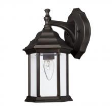  9830OB - 1 Light Outdoor Wall Lantern