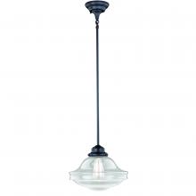  P0242 - Huntley 12-in Pendant Clear Glass Oil Rubbed Bronze