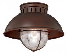  T0143 - Harwich 10-in Outdoor Flush Mount Ceiling Light Burnished Bronze