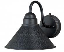  T0197 - Outland 9.75-in Outdoor Wall Light Aged Iron and Light Gold