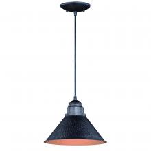  T0349 - Outland 10-in Outdoor Pendant Light Aged Iron and Light Gold