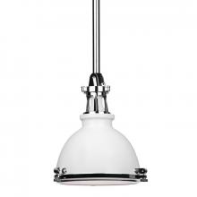  4610-WPN - 1 LIGHT PENDANT