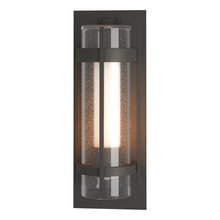  305898-SKT-20-ZS0656 - Torch Large Outdoor Sconce
