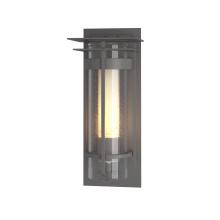  305996-SKT-78-ZS0654 - Torch Small Outdoor Sconce with Top Plate