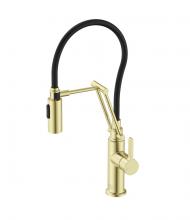  FAK-304BGD - Leonardo Single Handle Pull Down Sprayer Kitchen Faucet in Brushed Gold