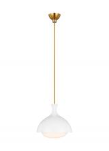 Visual Comfort & Co. Studio Collection AEP1021BBSMWT - One Light Medium Pendant