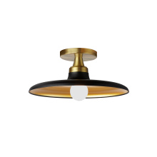 Dainolite QTN-121SF-MB-AGB - 1 Light Semi-Flush Mount, Matte Black and Aged Brass