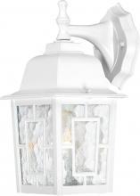  60/3484 - Banyan - 1 Light - 12" Outdoor Wall with Clear Water Glass; Color retail packaging