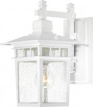  60/3491 - Cove Neck - 1 Light - 12" Outdoor Lantern with Clear Seed Glass; Color retail packaging