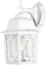  60/4921 - Banyan - 1 Light 12" Wall Lantern with Clear Water Glass - White Finish