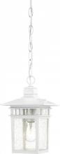  60/4954 - Cove Neck - 1 Light 12" Hanging Lantern with Clear Seed Glass - White Finish