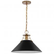  60/7525 - Outpost; 1 Light; Large Pendant; Matte Black with Burnished Brass