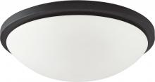  62/1442 - Button LED - 11"- Flush with Frosted Glass - Black Finish