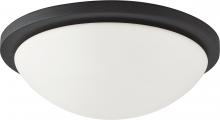  62/1443 - Button LED - 13"- Flush with Frosted Glass - Black Finish