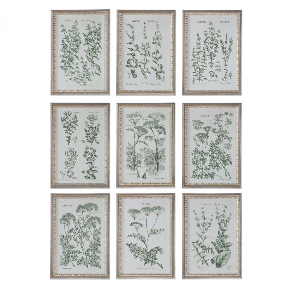 Uttermost Herb Garden Prints, S/9