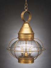  2572-AB-MED-CLR - Caged Onion Hanging Antique Brass Medium Base Socket Clear Glass