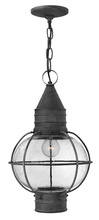  2202DZ - Medium Hanging Lantern