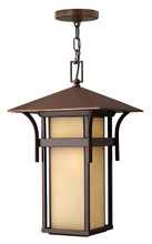  2572AR - Medium Hanging Lantern