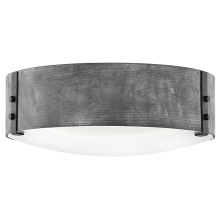 Hinkley 29203DZ-LL - Medium Flush Mount