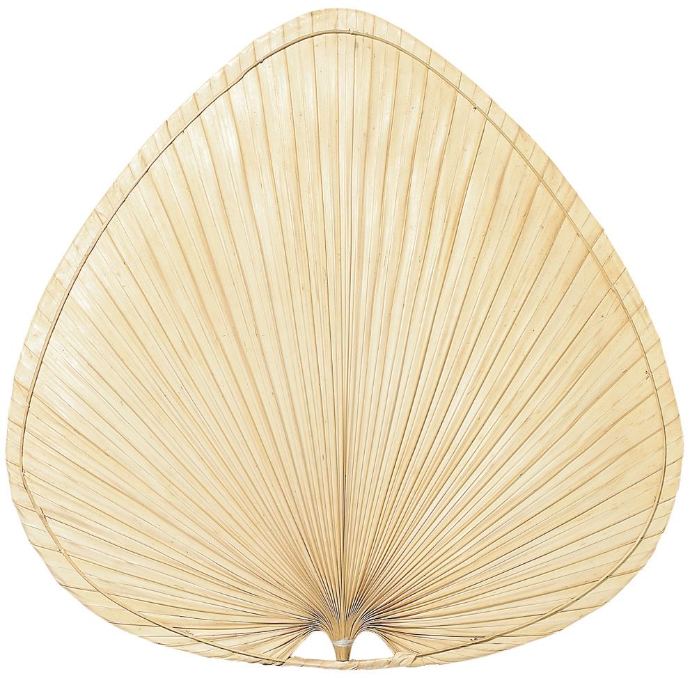 18" CARUSO BLADE: WIDE OVAL PALM, NATURAL  -  SET OF 1
