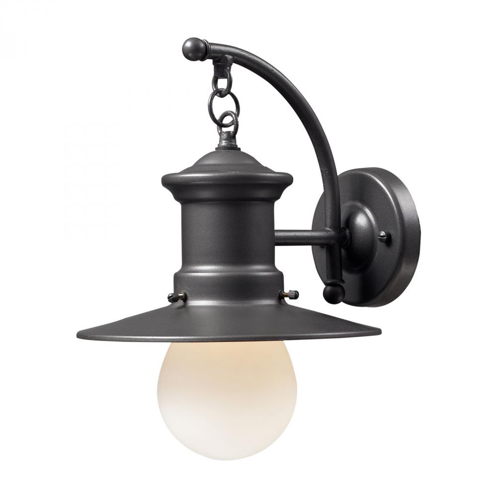 Maritime 1-Light Outdoor Wall Lamp in Graphite