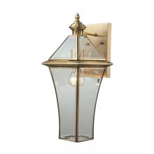 ELK Home 22031/1 - Riverdale 1-Light Outdoor Wall Lamp in Brushed Brass