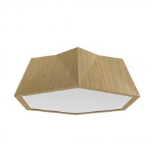  5063LED.45 - Physalis Accord Ceiling Mounted 5063 LED